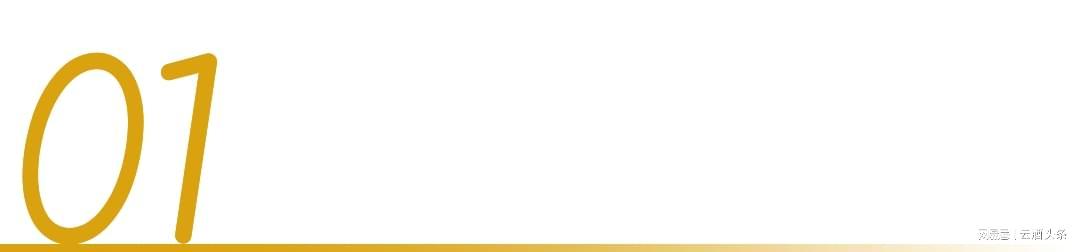 冲着周杰伦“一轮游”来，却嗑起了澳网和国窖1573的CP